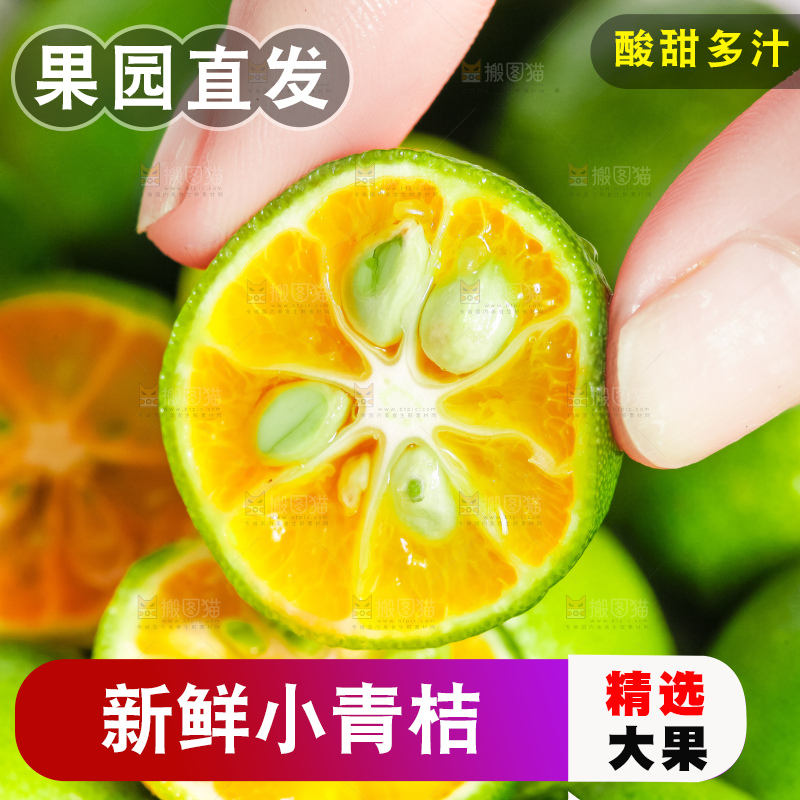 手里拿着海南小金桔