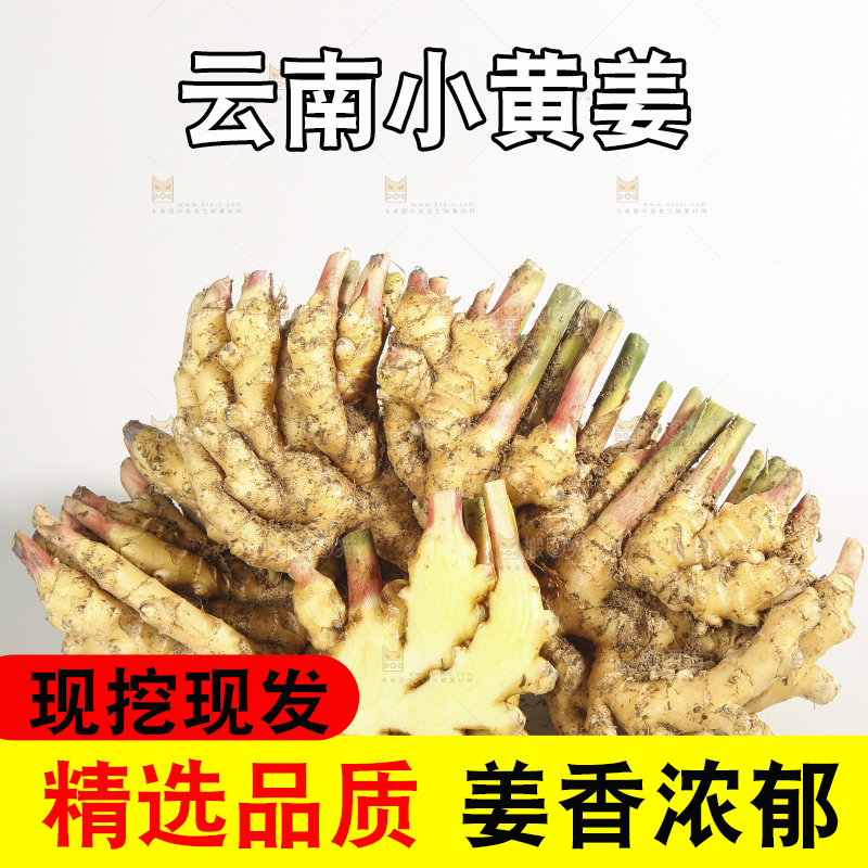 浅底上的云南小黄姜
