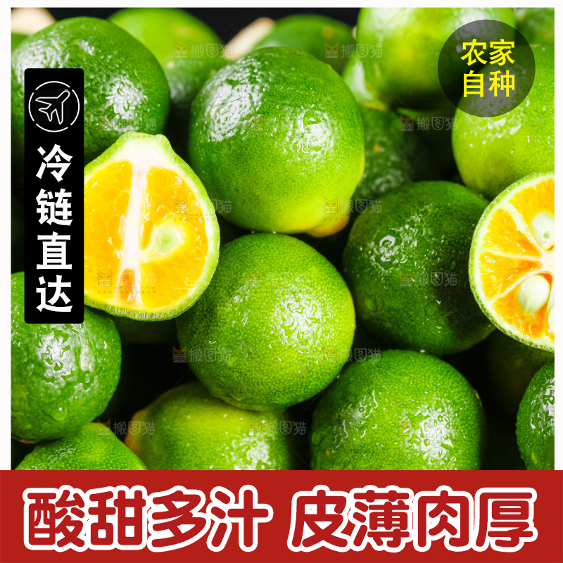 竹篮里装着海南小金桔