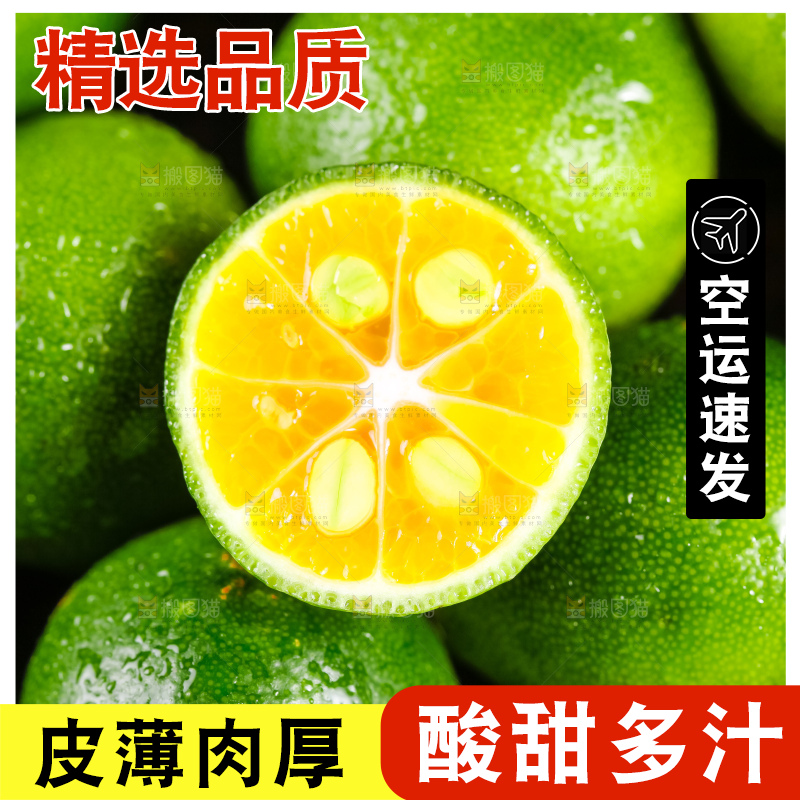盘子里装着海南小金桔