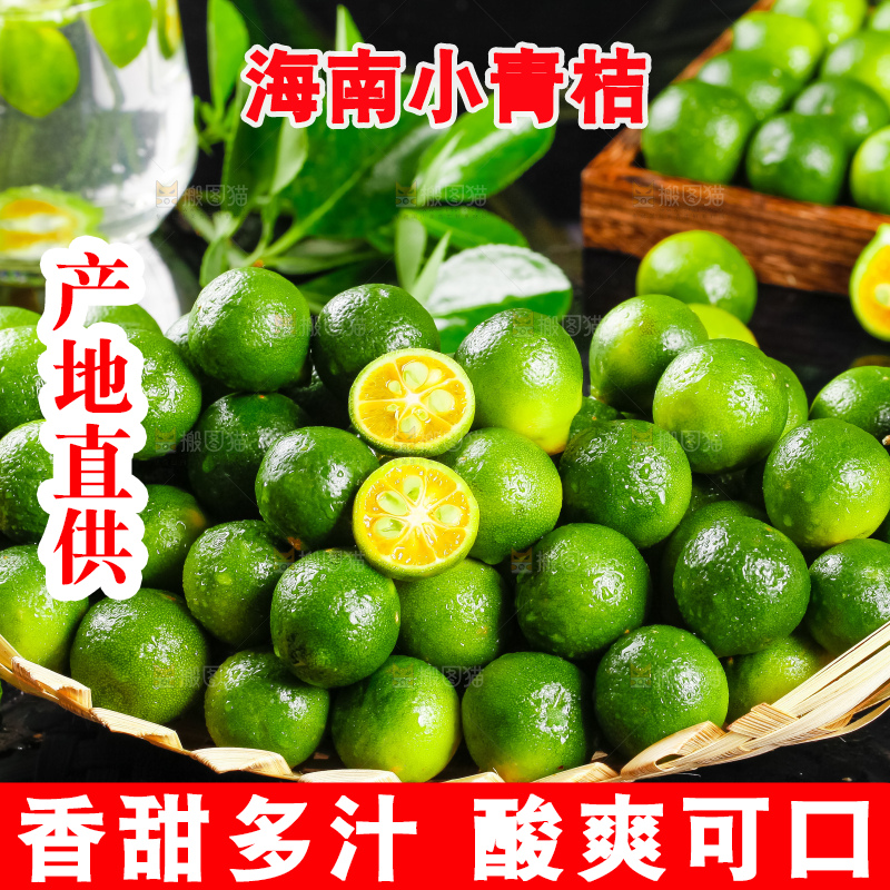 竹篮里装着海南小金桔