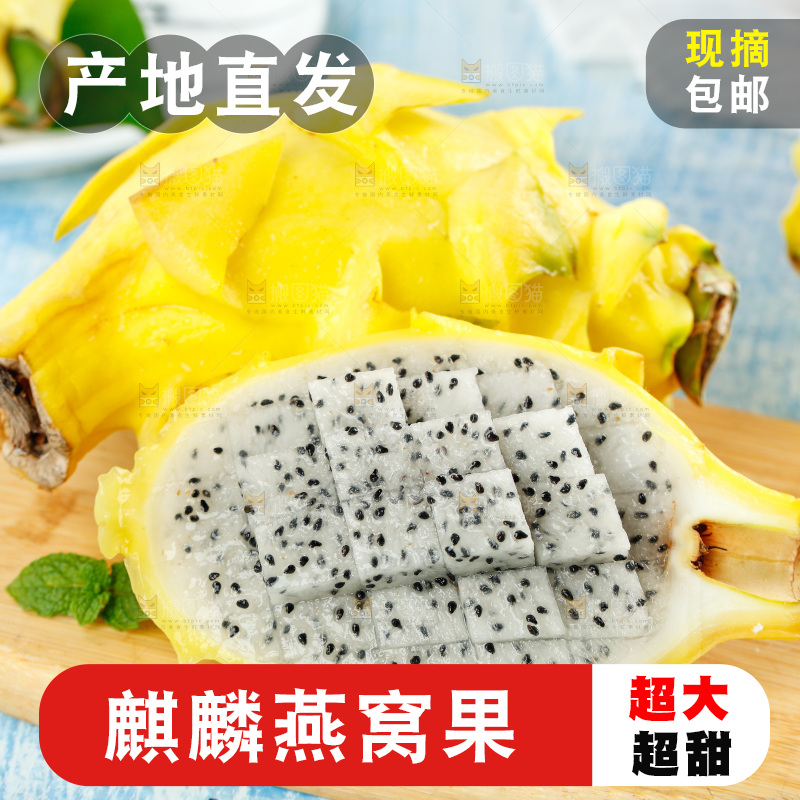 浅底上的黄皮火龙果