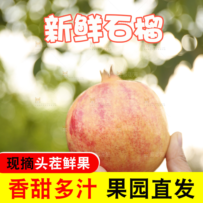 手里拿着蒙自石榴