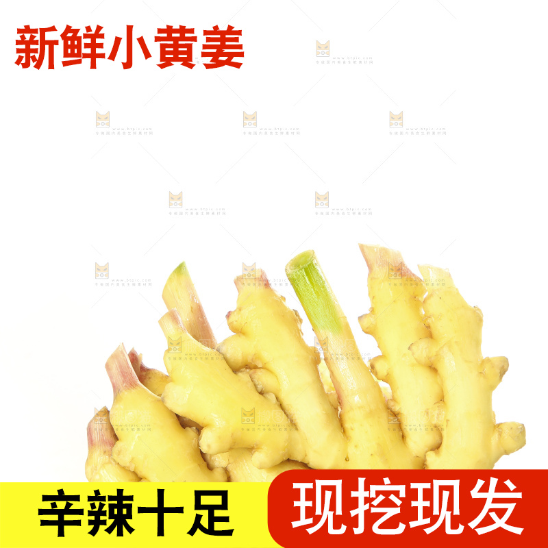 白底上的小黄姜