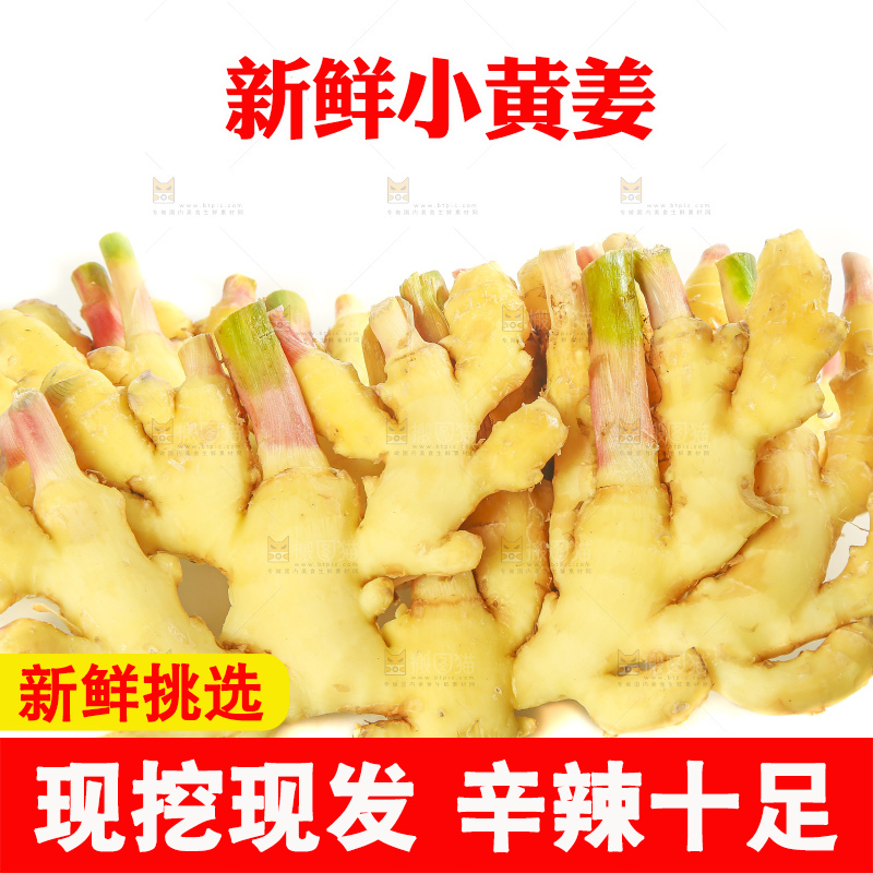 白底上的小黄姜