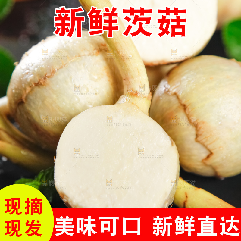黑石垫上放着切开的白茨菇