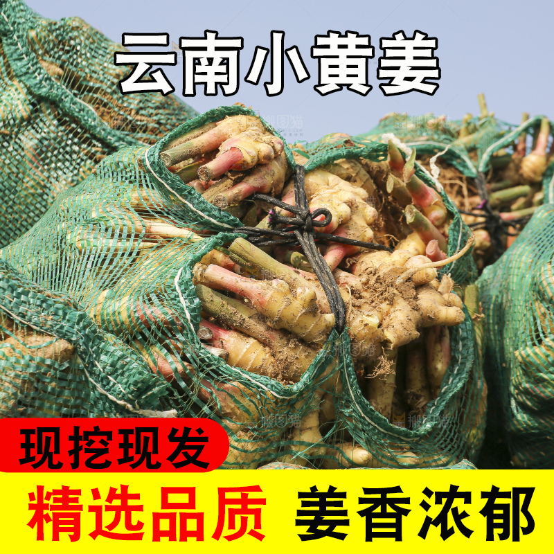 堆放着的小黄姜