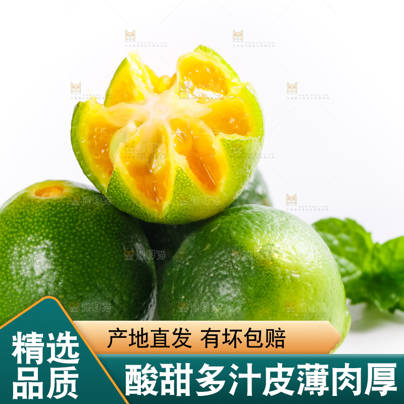 白底上放着小金桔