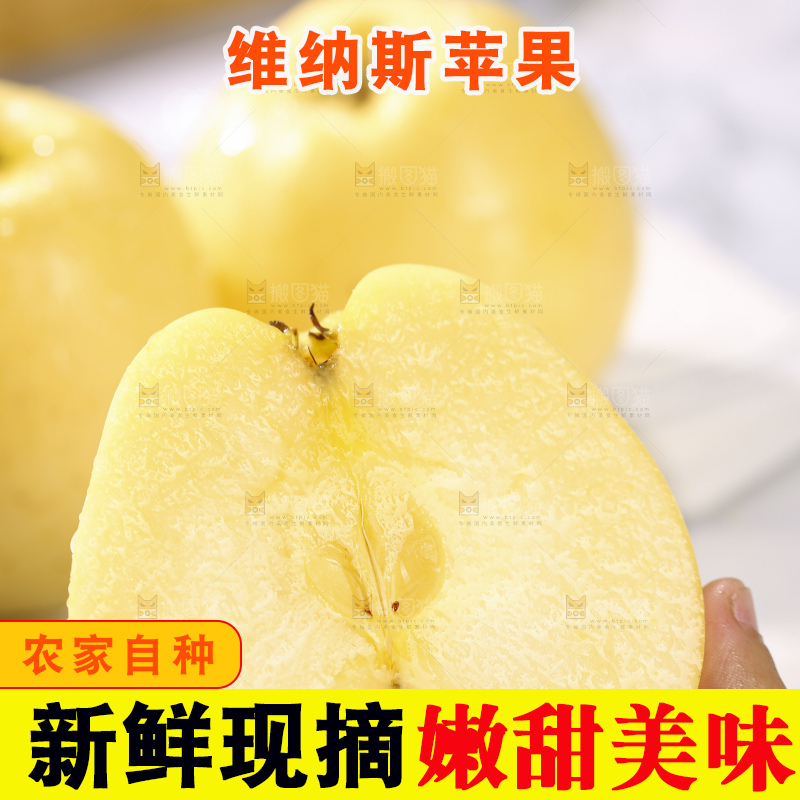 浅底上的维纳斯苹果