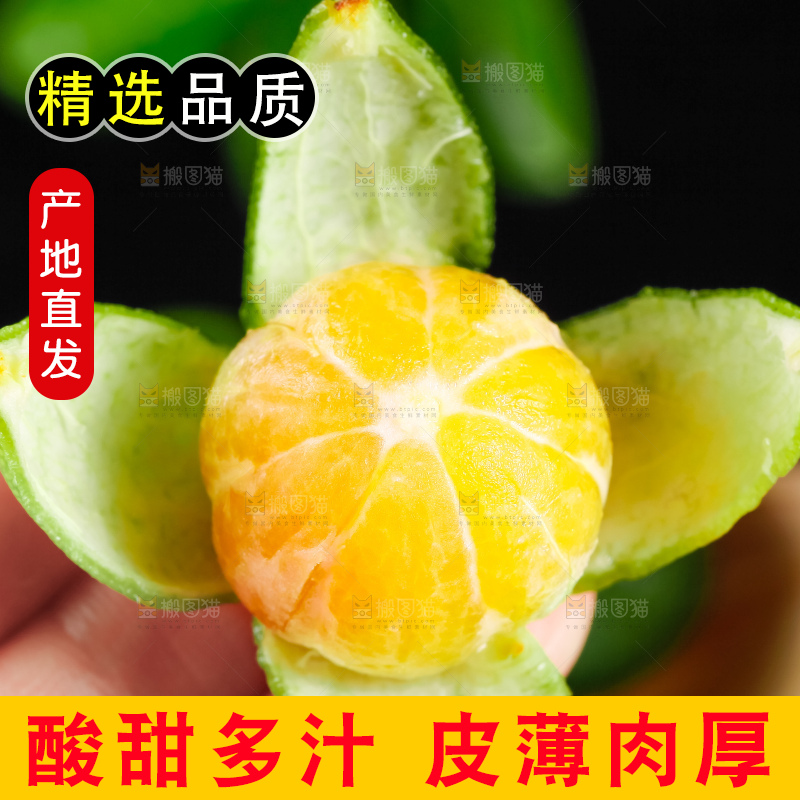 手里拿着剥皮的海南小金桔