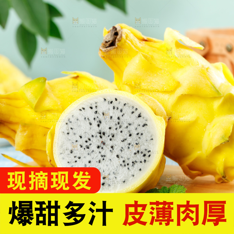浅底上的黄皮火龙果