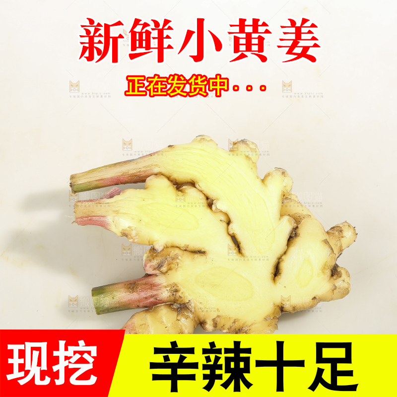 浅底上的云南小黄姜