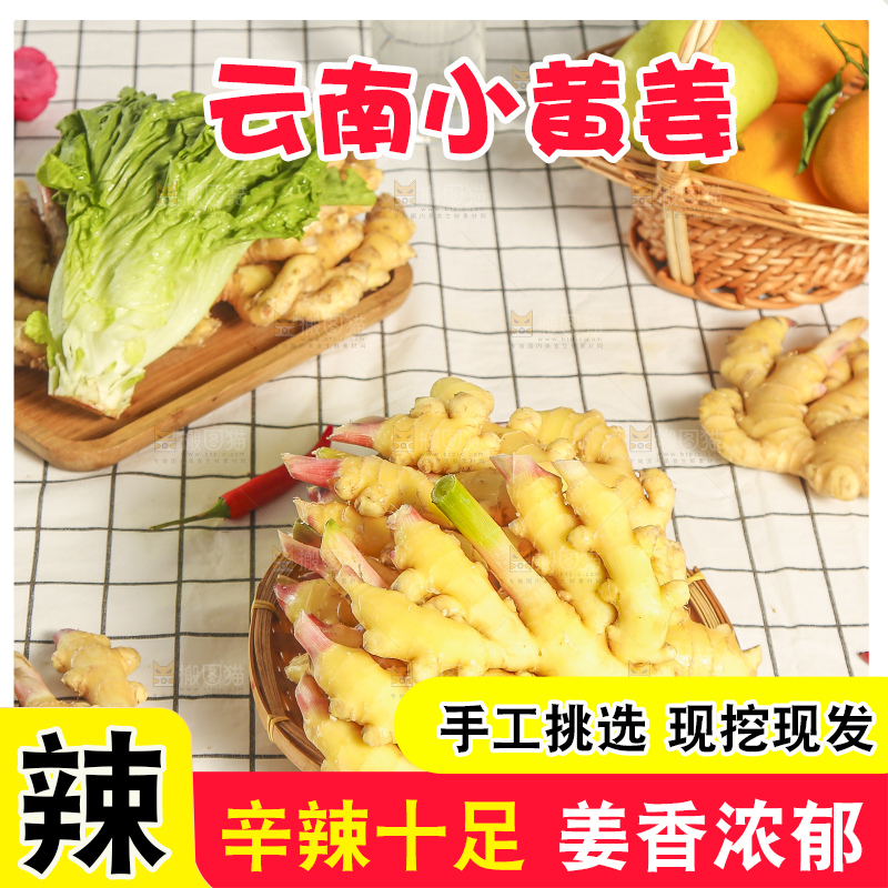 浅底上的小黄姜