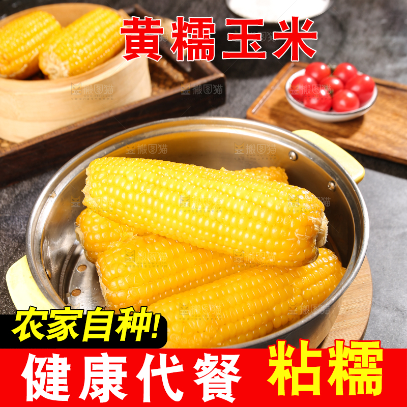 深底上的黄糯玉米
