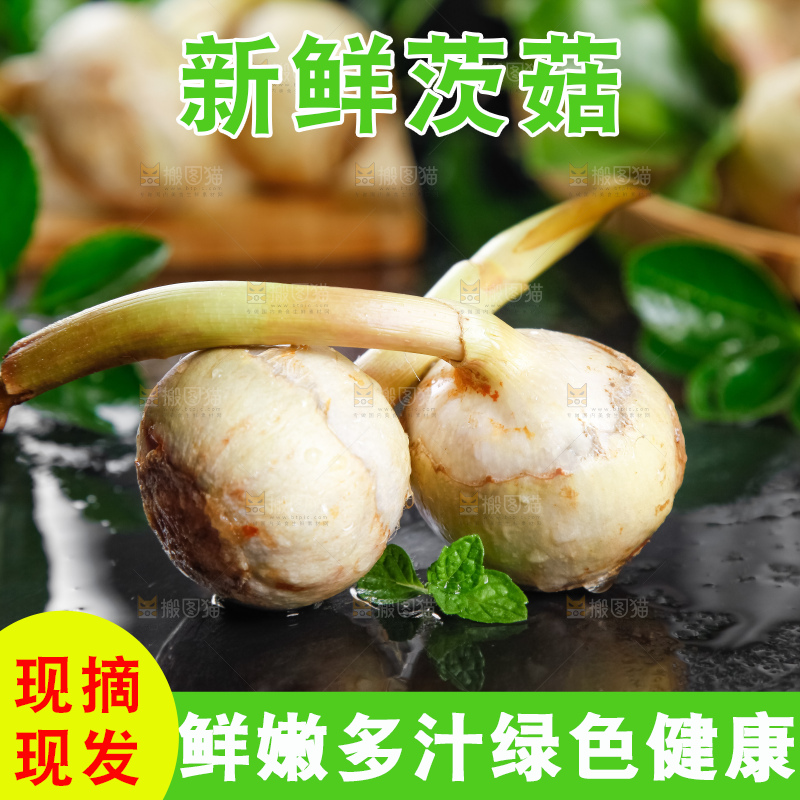 黑石板上放着白茨菇