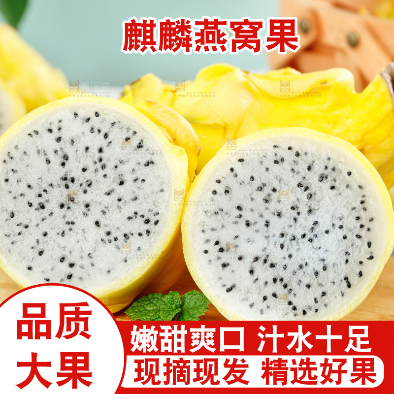 浅底上的黄皮火龙果