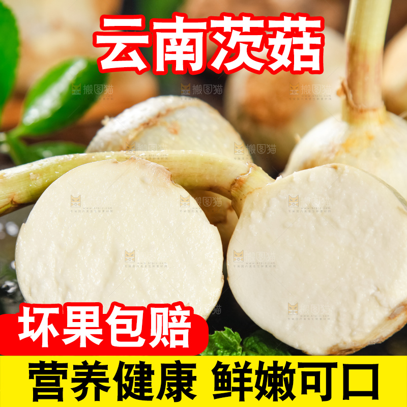 黑石垫上放着切开的白茨菇