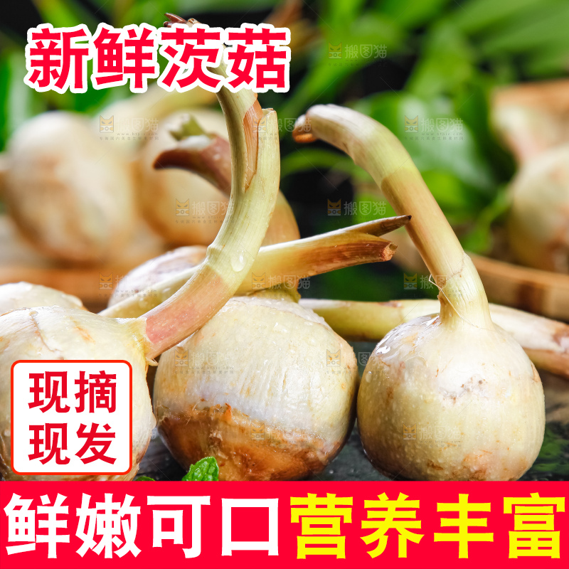 黑石板上放着白茨菇