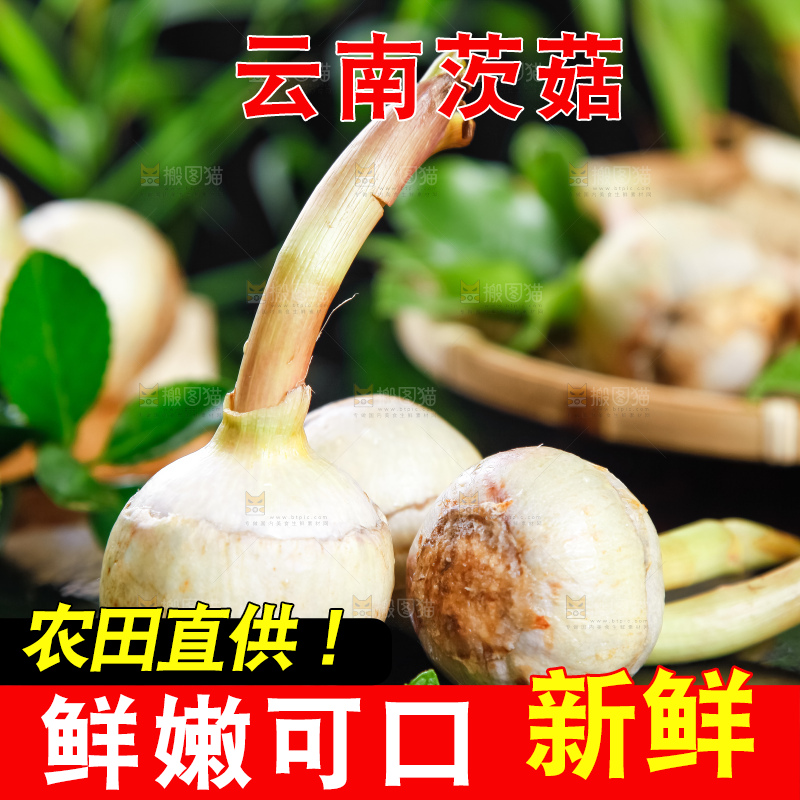 黑石板上放着白茨菇