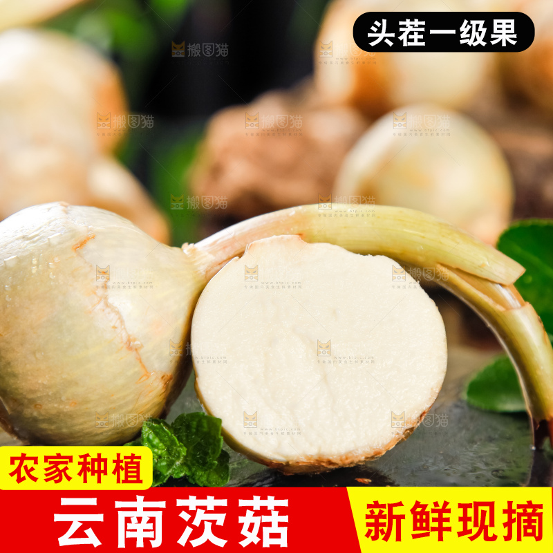 黑垫上放着切开的白茨菇