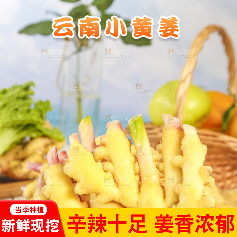 浅底上的小黄姜