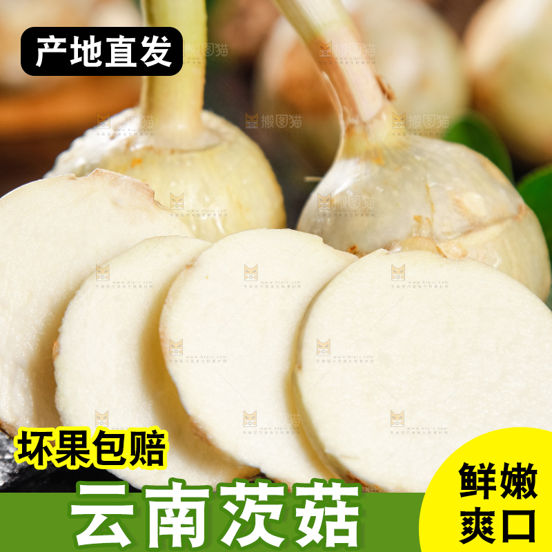 黑石垫上放着切开的白茨菇