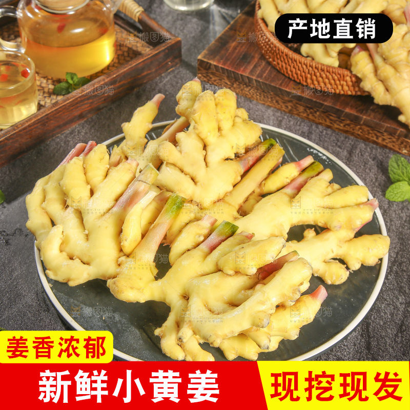 深底上的小黄姜