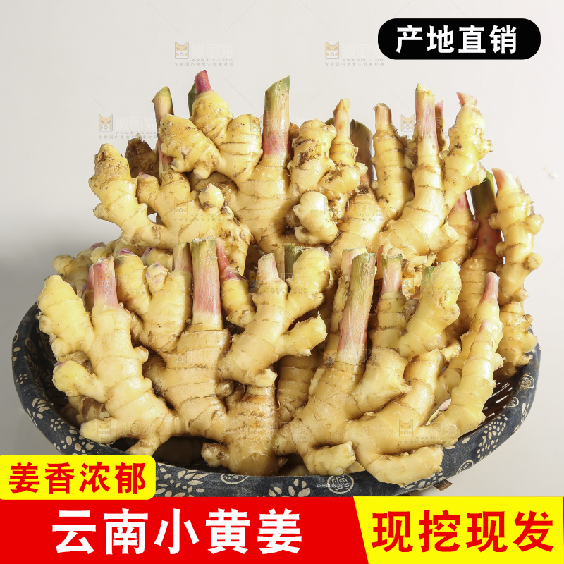 浅底上的云南小黄姜