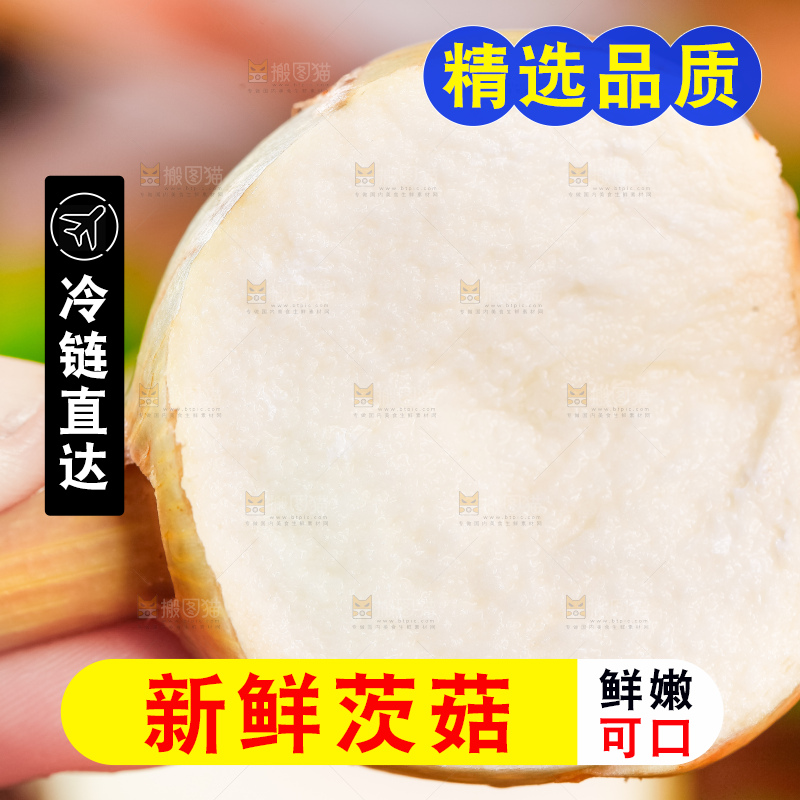 手里拿着切开的白茨菇