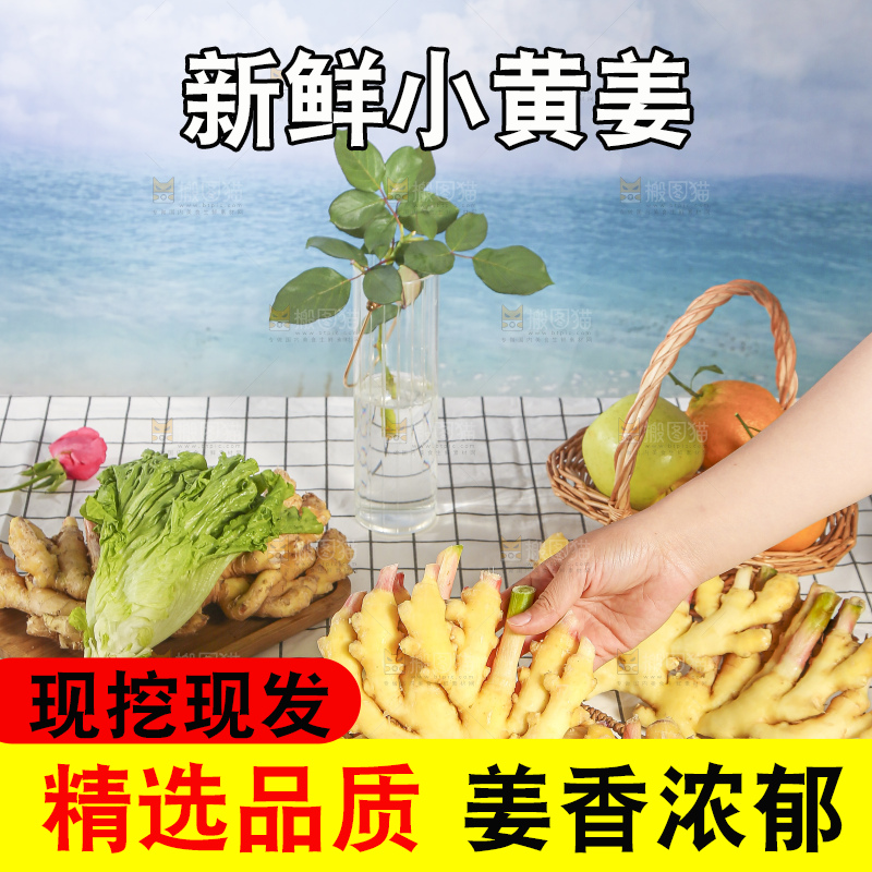 浅底上的小黄姜