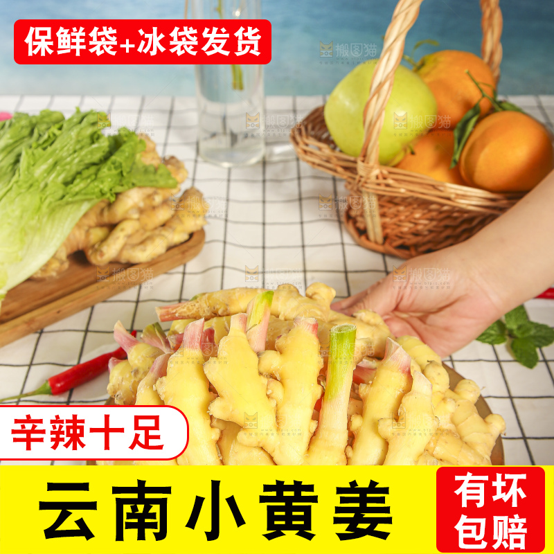 浅底上的小黄姜