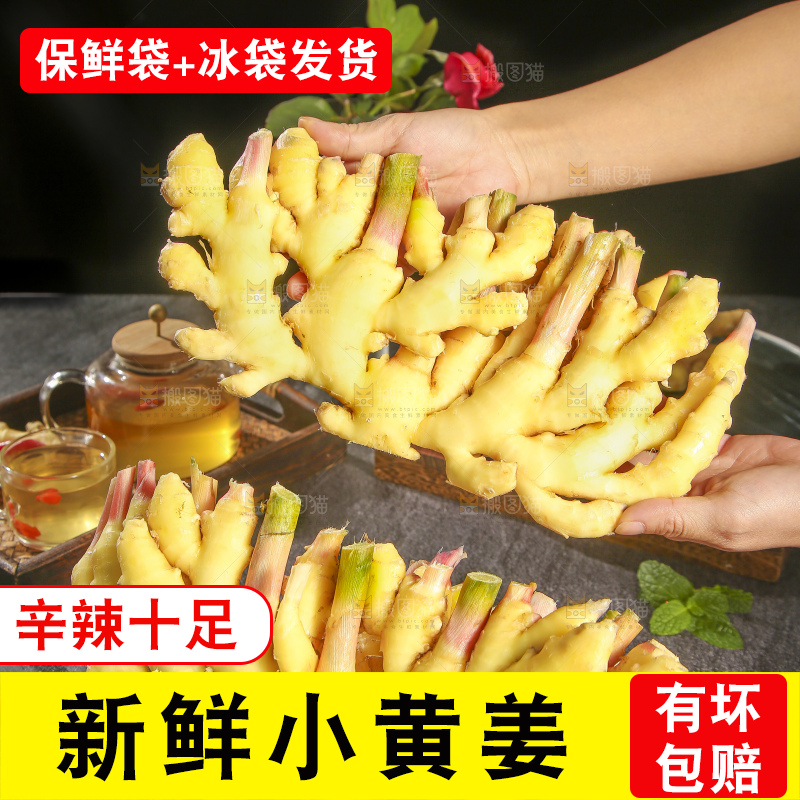 深底上的小黄姜