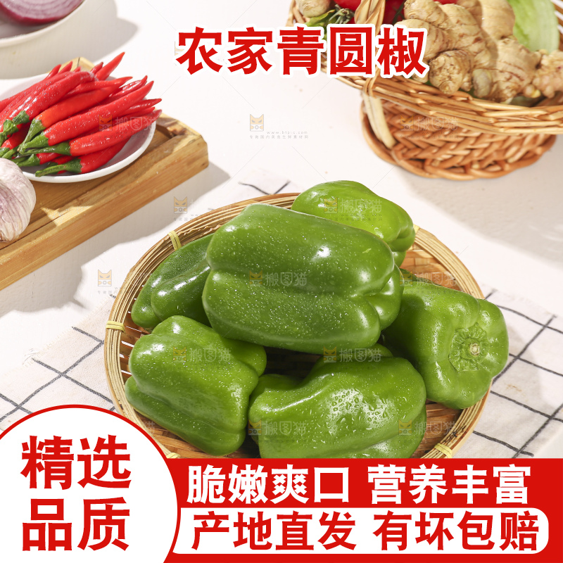 浅底上的青圆椒