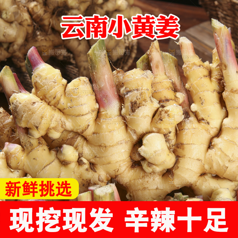 木底上的新鲜小黄姜