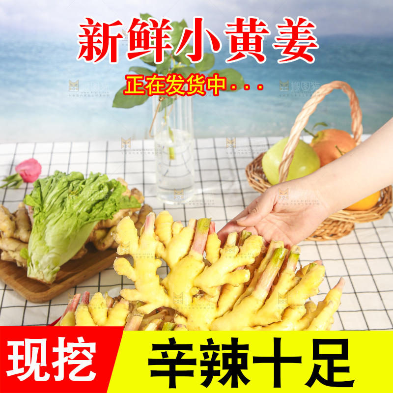 浅底上的小黄姜