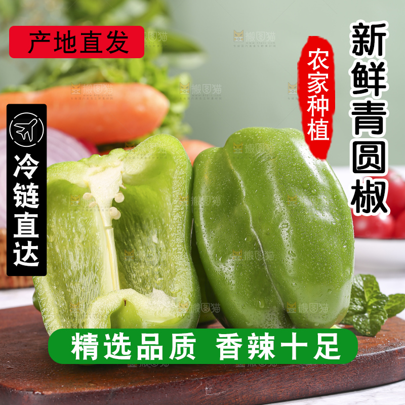 浅底上的青圆椒