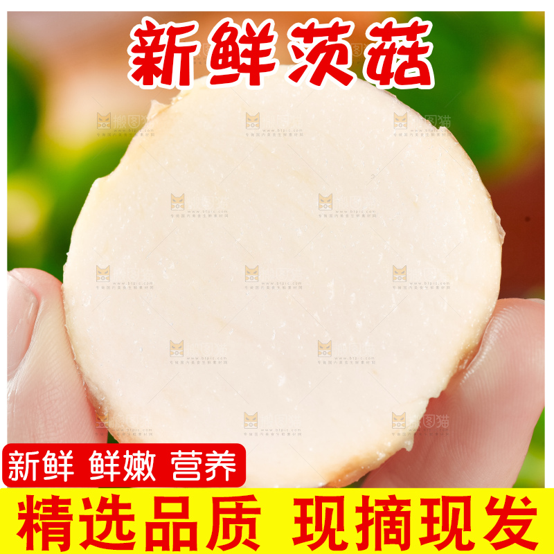 手里拿着切开的白茨菇
