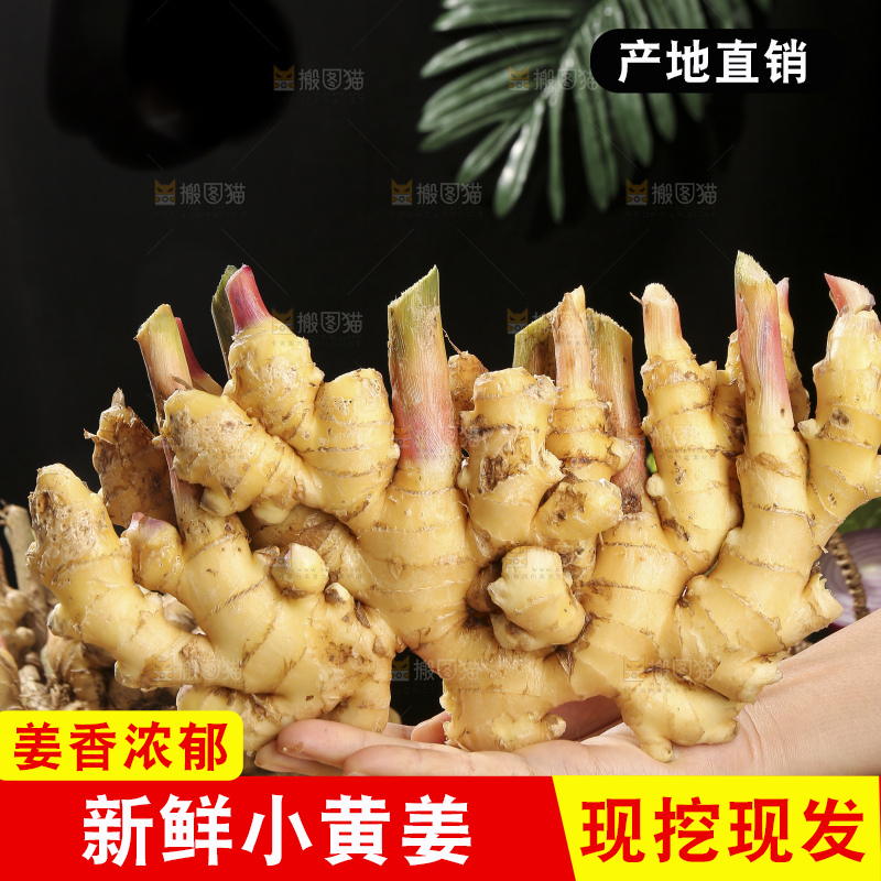 木底上的新鲜小黄姜