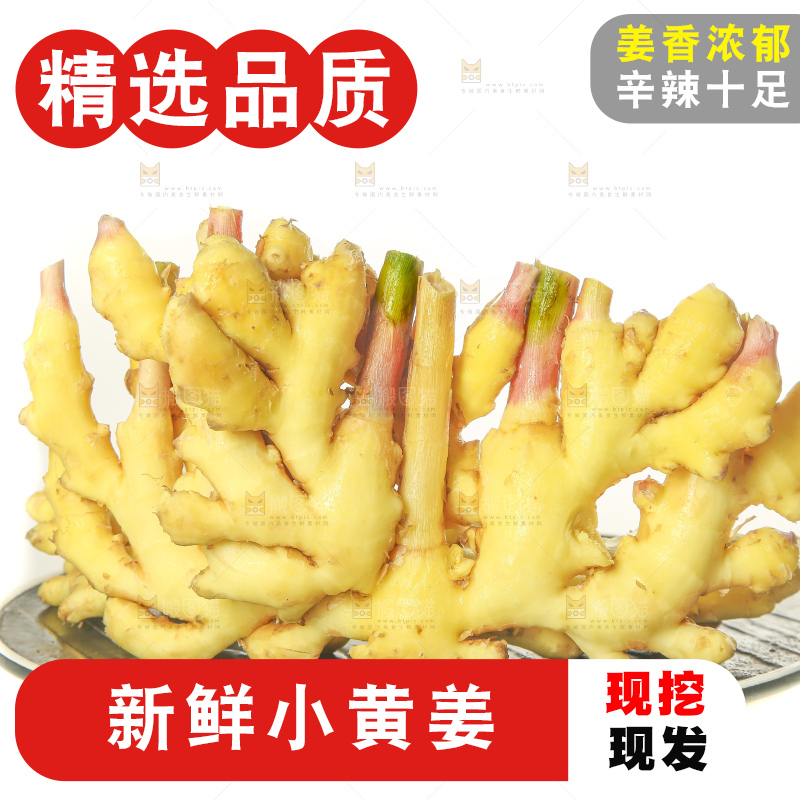 白底上的小黄姜