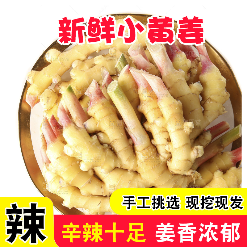 白底上的小黄姜