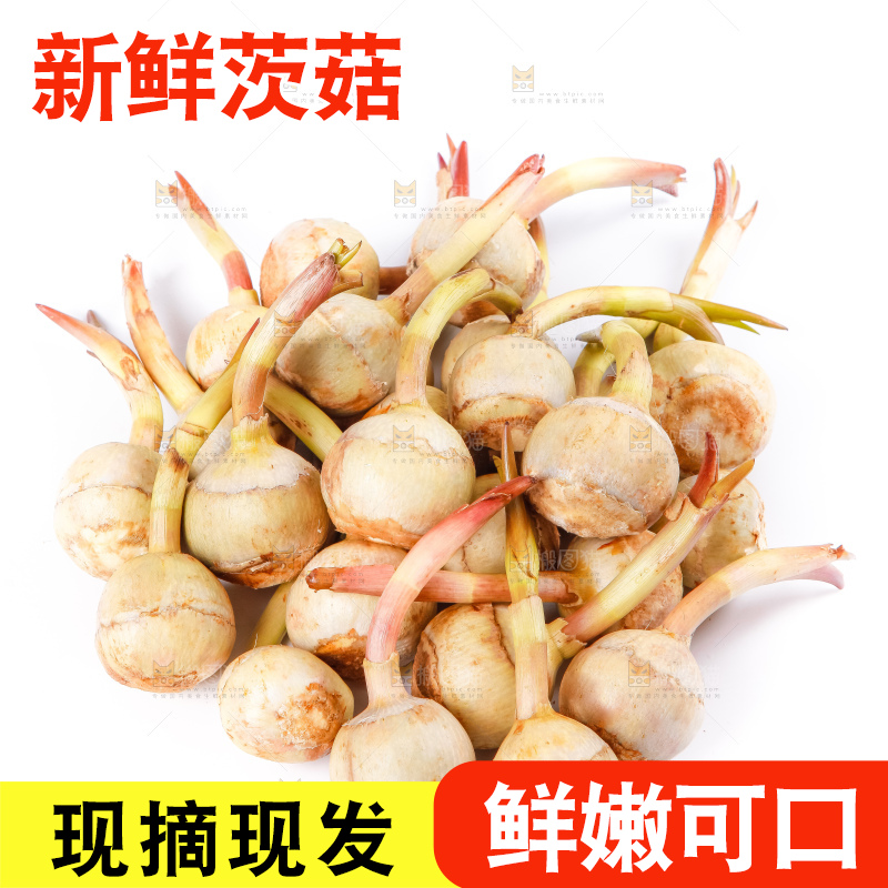 白底上放着云南茨菇