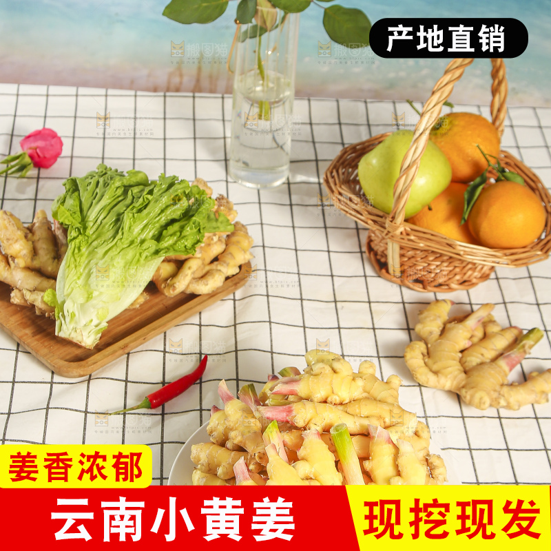 浅底上的小黄姜