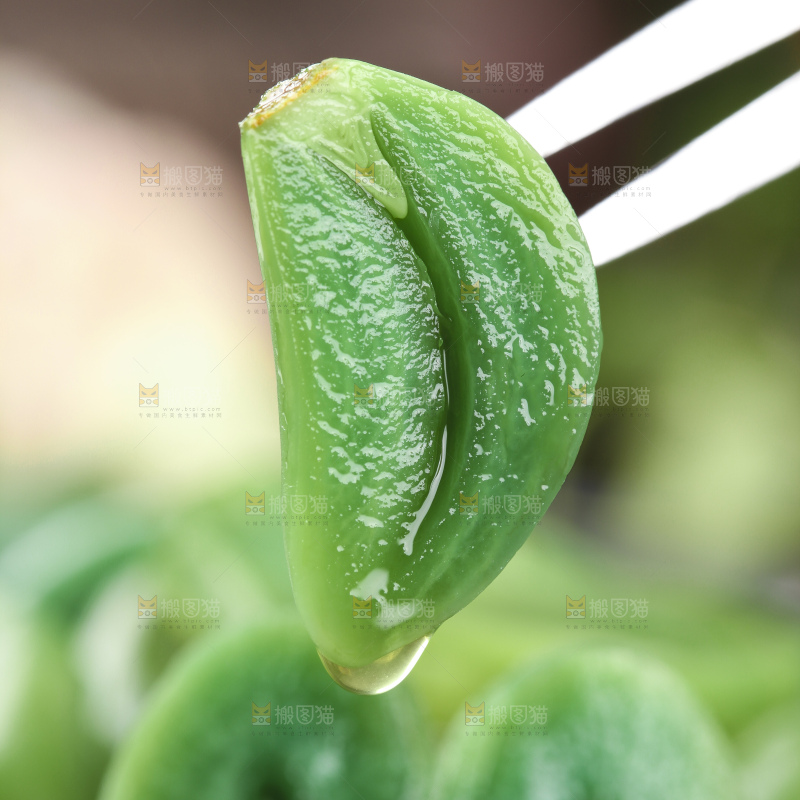 深底上的腊八蒜