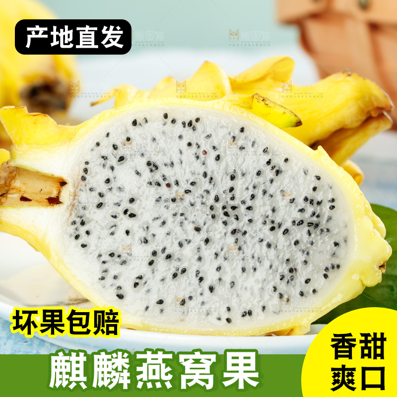 浅底上的黄皮火龙果