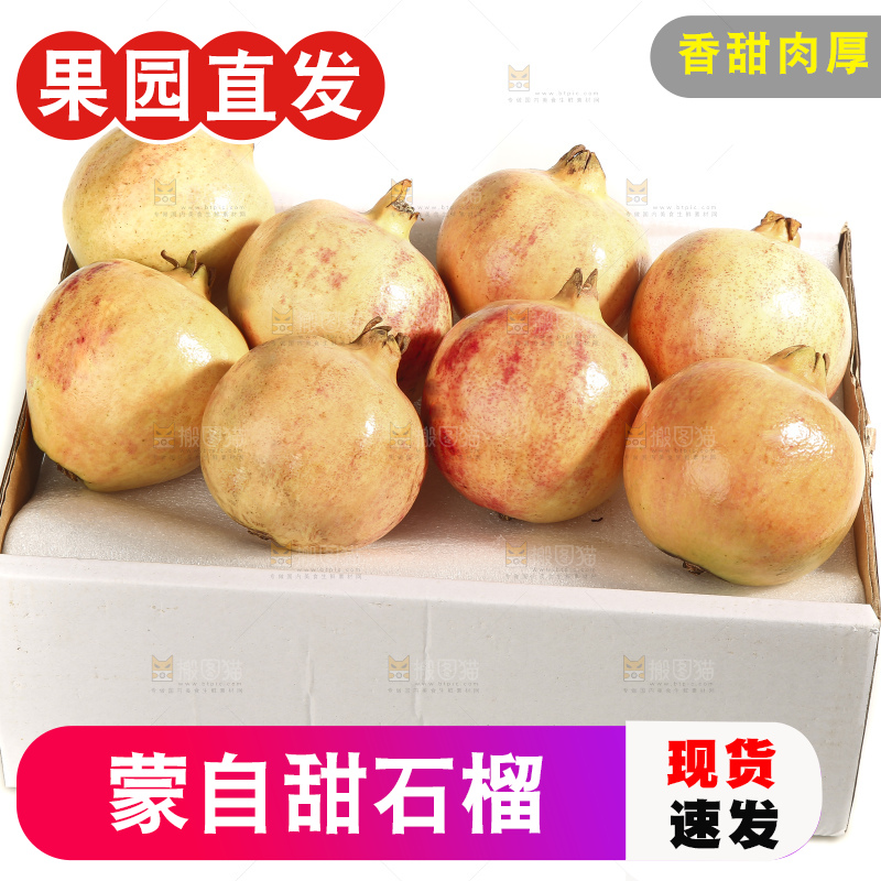 白底上的蒙自石榴