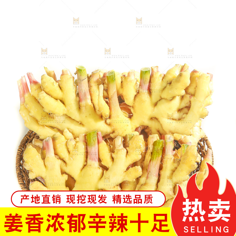 白底上的云南小黄姜