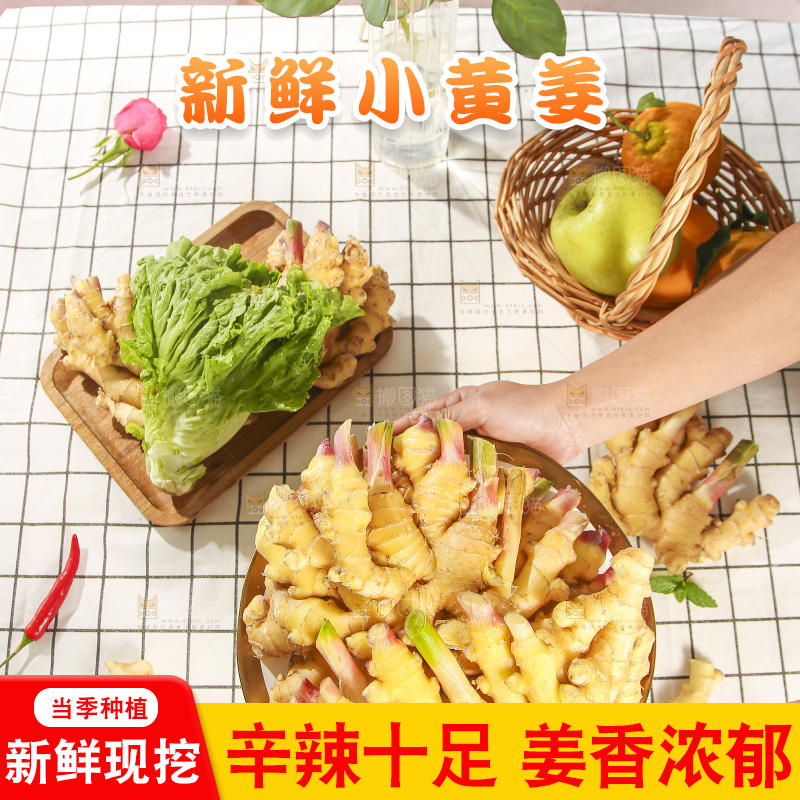 浅底上的小黄姜
