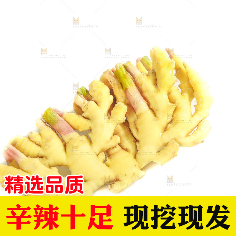 白底上的小黄姜