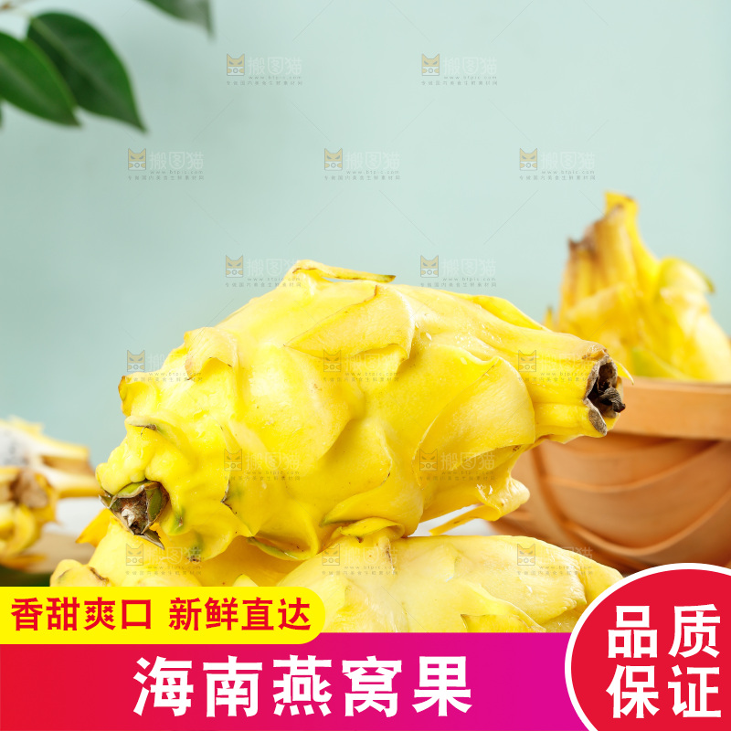浅底上的黄皮火龙果