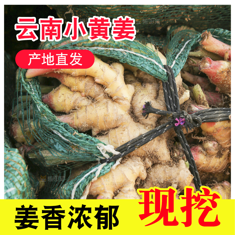 堆放着的小黄姜